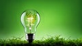 A light bulb with plants and leaves, symbolizing eco-friendliness and sustainability concept. Green innovative idea. Eco energy