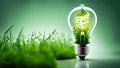 A light bulb with plants and leaves, symbolizing eco-friendliness and sustainability concept. Green innovative idea. Eco energy