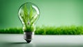 A light bulb with plants and leaves, symbolizing eco-friendliness and sustainability concept. Green innovative idea. Eco energy