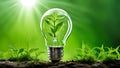 A light bulb with plants and leaves, symbolizing eco-friendliness and sustainability concept. Green innovative idea. Eco energy