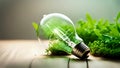 A light bulb with plants and leaves, symbolizing eco-friendliness and sustainability concept. Green innovative idea. Eco energy