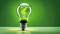 A light bulb with plants and leaves, symbolizing eco-friendliness and sustainability concept. Green innovative idea. Eco energy