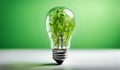 A light bulb with plants and leaves, symbolizing eco-friendliness and sustainability concept. Green innovative idea. Eco energy