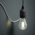 a light bulb is plugged into a wall light with a white cord attached to it and a black light bulb is Royalty Free Stock Photo