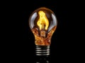 A light bulb representing a blackout in the city, where the electricity is out Royalty Free Stock Photo