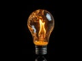 A light bulb representing a blackout in the city, where the electricity is out Royalty Free Stock Photo