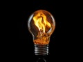 A light bulb representing a blackout in the city, where the electricity is out Royalty Free Stock Photo