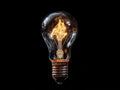 A light bulb representing a blackout in the city, where the electricity is out Royalty Free Stock Photo