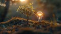 Light Bulb and Sapling in a Forest Setting Royalty Free Stock Photo