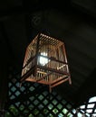 Light Bulb Shining from within a Wooden Birdcage amid a Dark Cottage Royalty Free Stock Photo