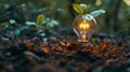 Light bulb silhouette growing in soil with green plant Royalty Free Stock Photo