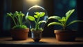 Light bulb with a small green plant growing inside on a rustic brown wooden Royalty Free Stock Photo