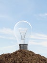 Light bulb in soil