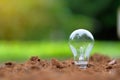 Light bulb on soil with green background. Royalty Free Stock Photo