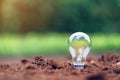 Light bulb on soil with green background. Royalty Free Stock Photo