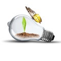 Light Bulb with soil and green plant sprout inside and butterfly Royalty Free Stock Photo