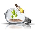 Light Bulb with soil and green plant sprout inside and butterfly Royalty Free Stock Photo