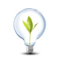 Light Bulb with soil and green plant sprout inside Royalty Free Stock Photo