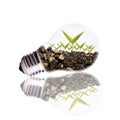Light Bulb with soil and seed in light bulb over white background Royalty Free Stock Photo