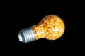 Light bulb stuffed with popcorn kernels