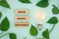 Light bulb surrounded by leaves and text on wooden blocks, Green energy efficiency, Ecological system, Creative concept, Modern Royalty Free Stock Photo
