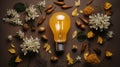 A light bulb surrounded by a variety of flowers and nuts in a unique composition