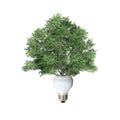 Light Bulb and Tree Royalty Free Stock Photo