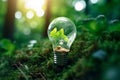 Light bulb and tree growing on the ground on bokeh nature background, Idea of renewable energy and energy saving Royalty Free Stock Photo