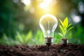 Light bulb and tree growing on the ground on bokeh nature background, Idea of renewable energy and energy saving Royalty Free Stock Photo