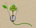 Light bulb with a tree inside infront of a brown recycled paper background - metaphor for green and renewable energy Royalty Free Stock Photo