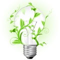 Light bulb twisted with plant Royalty Free Stock Photo
