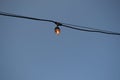 A light bulb with a warm glow on a wire, against the background of a blue sky. Royalty Free Stock Photo