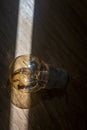 Light bulb on wood texture background, Light and Shadow, Close up and macro shot Royalty Free Stock Photo