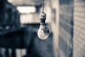 light bulbs Royalty Free Stock Photo