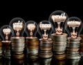 Light Bulbs and Coin Rows with Growth and Finance Concept Royalty Free Stock Photo