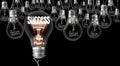 Light Bulbs with Failure - Success Concept