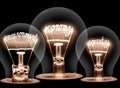 Light Bulbs Concept Royalty Free Stock Photo