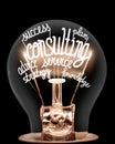 Light Bulbs with Consulting Concept Royalty Free Stock Photo