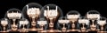 Light Bulbs with Learn & Lead Concept Royalty Free Stock Photo