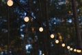 Light bulbs outdoor on a wire against dusk forest