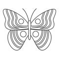 Light butterfly icon, outline style