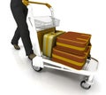 Light cart with luggage