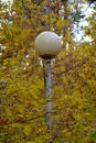 Street lamp among the yellow leaves