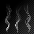 Light cigarette smoke waves on transparent background vector illustration Royalty Free Stock Photo