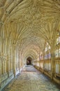 Light through the cloisters. Gloucerter cathedral