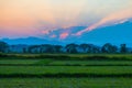 scenery sunrise above mountain on Doi Mae Salong Royalty Free Stock Photo