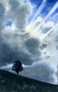 Light, clouds, mountain and tree.