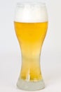 Light, Cold, Foamy Beer in Pilsner Beer Glass
