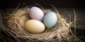 Light Colored Easter Eggs in a Nest