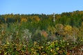 Light colored mobile phone tower with antennas on a hillside with evergreen trees and fall color deciduous trees, and clear blue s Royalty Free Stock Photo